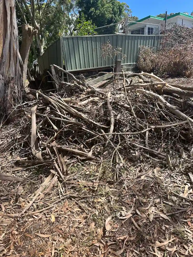 Collection of pruned tree branches and fallen garden leaves for green waste disposal