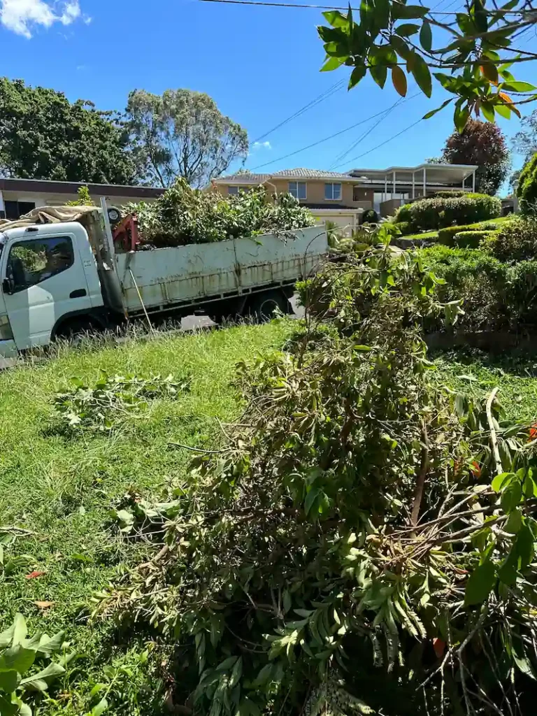 Aussie backyard with green waste removal in action: white ute loaded with trimmings, scattered branches, and lush grass under a blue sky.