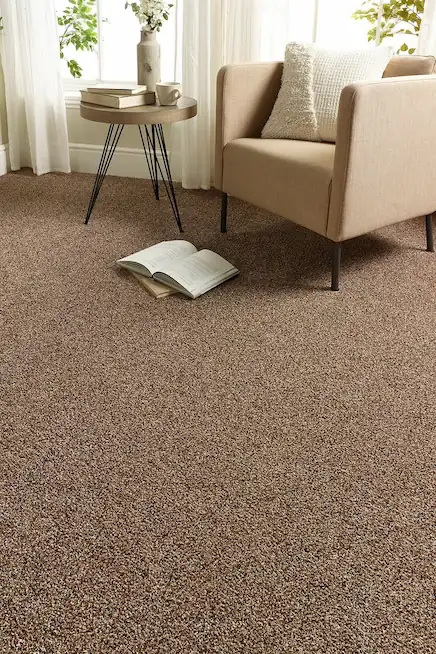 Carpet Removal